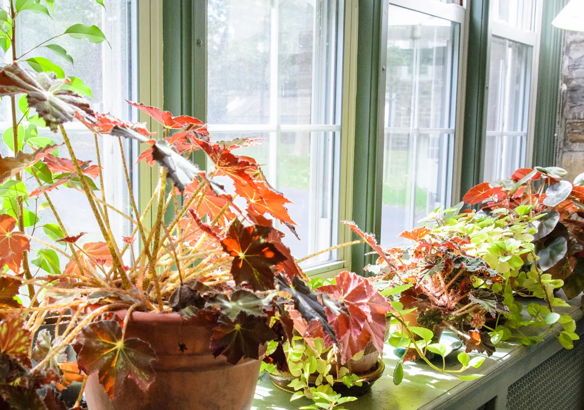 Event Image Placeholder - Default Image 86