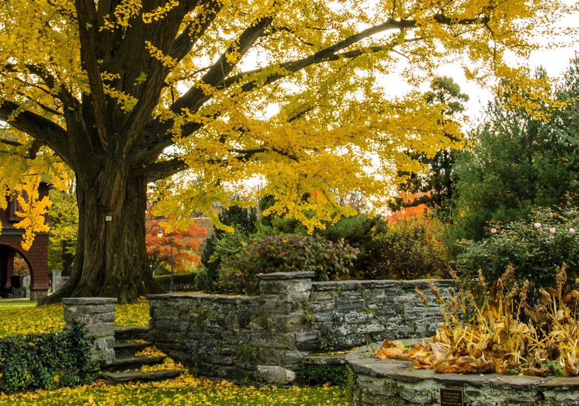 Event Image Placeholder - Default Image 74