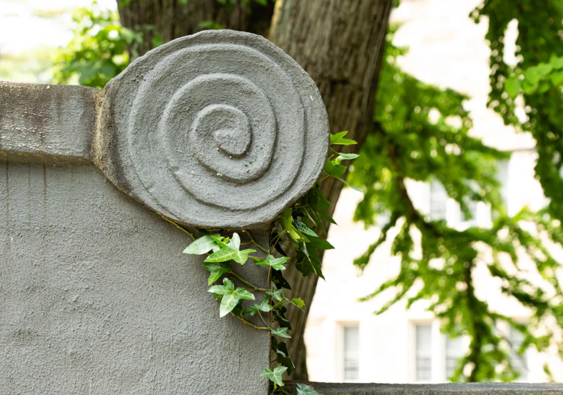 Event Image Placeholder - Default Image 61