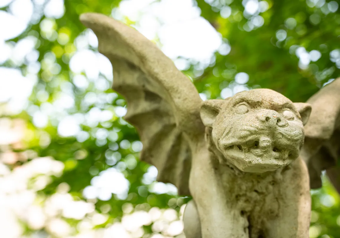 Event Image Placeholder - Default Image 60