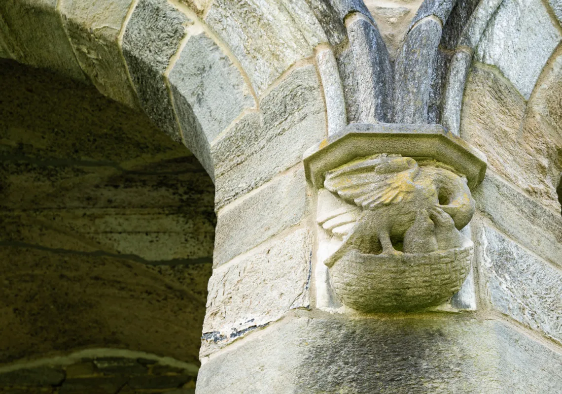 Event Image Placeholder - Default Image 52