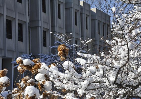 Canaday Library in the snow.