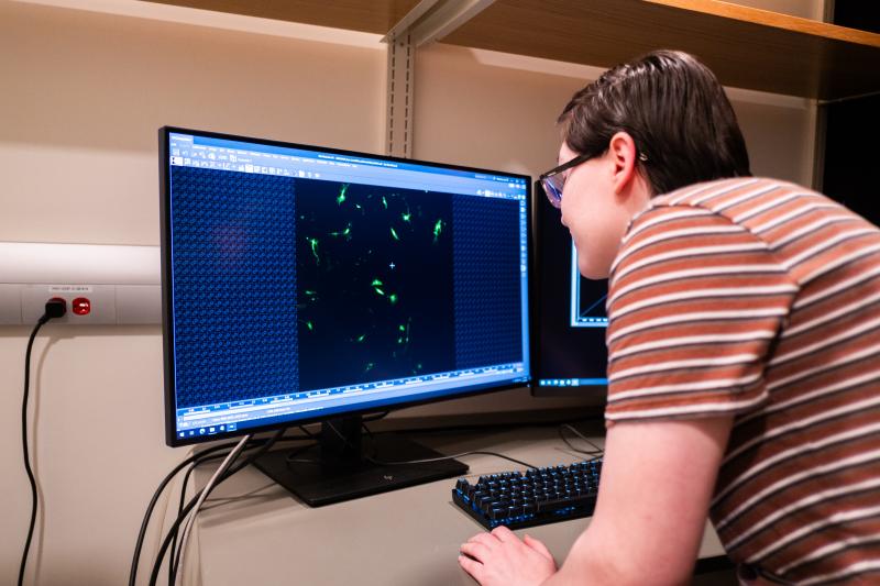 Kyle Bledsoe looks at the screen showing the view inside the microscope.