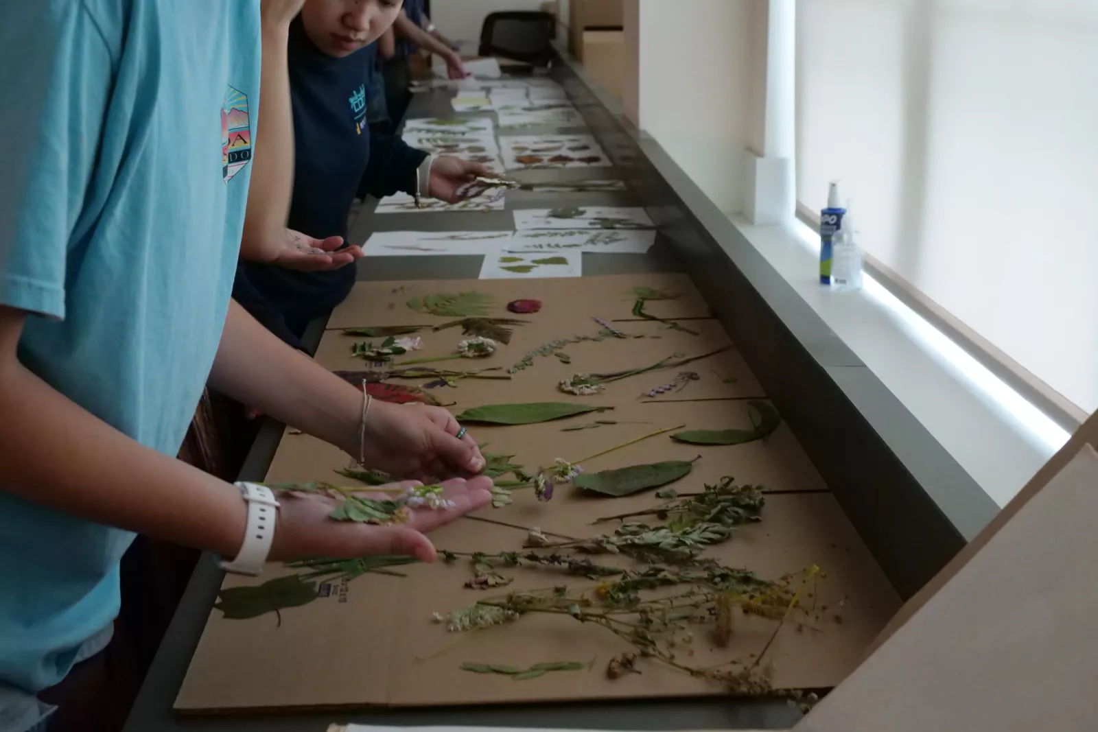 STEMLA Cyanotype Workshop