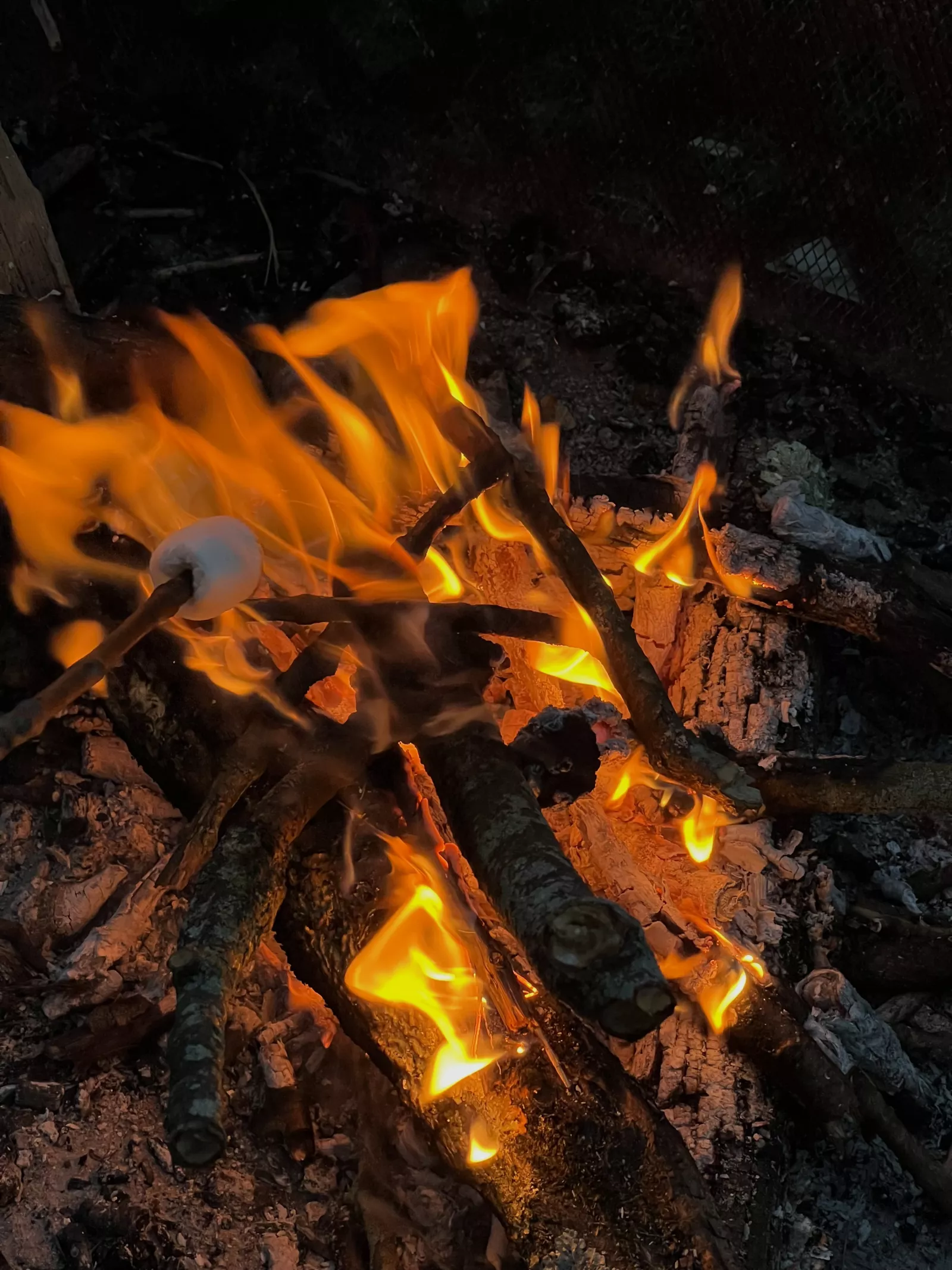 bonfire