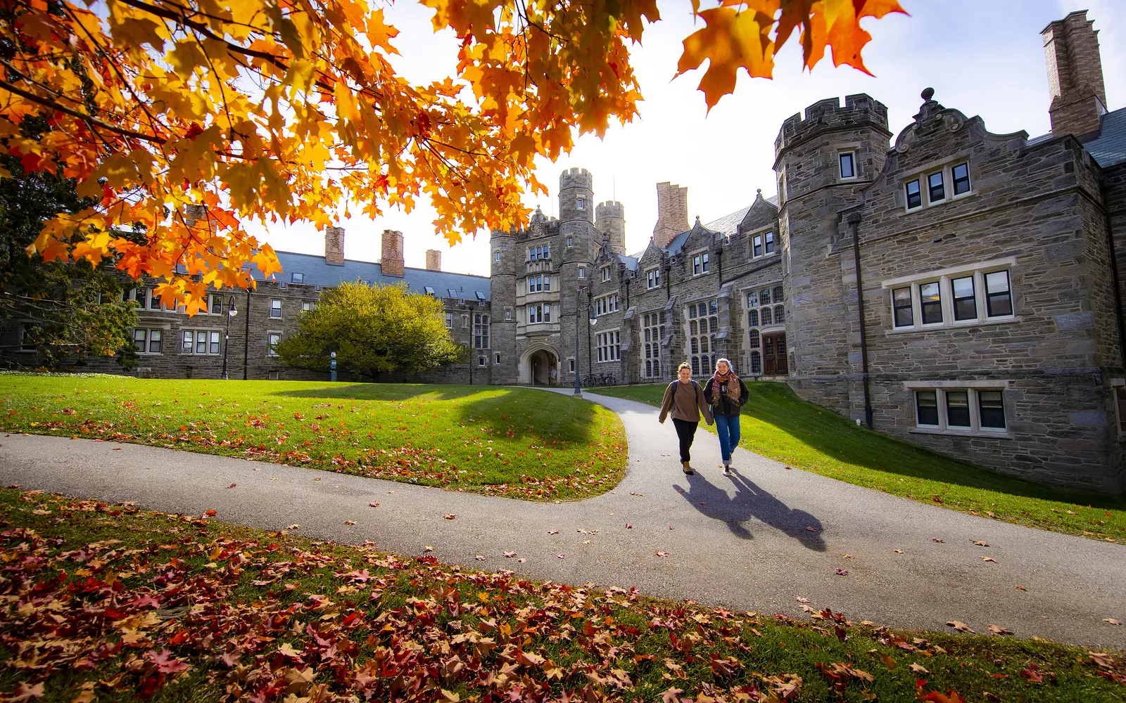 Fall on campus