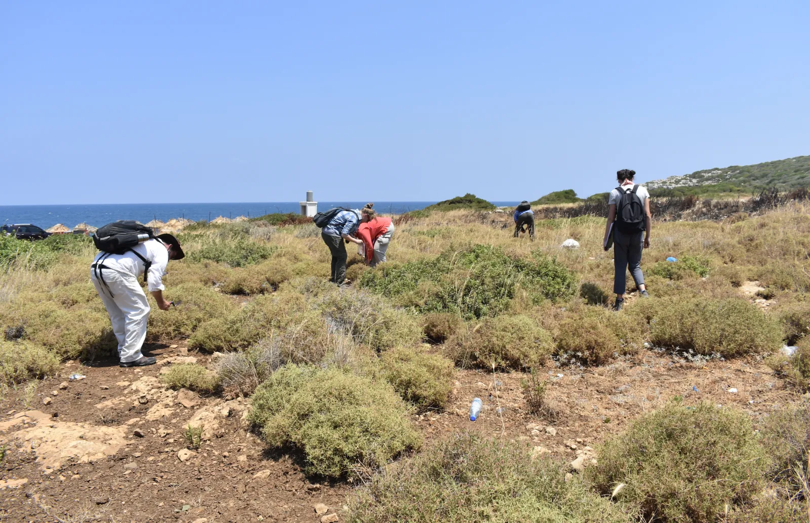 A PhD archeology student researching and digging