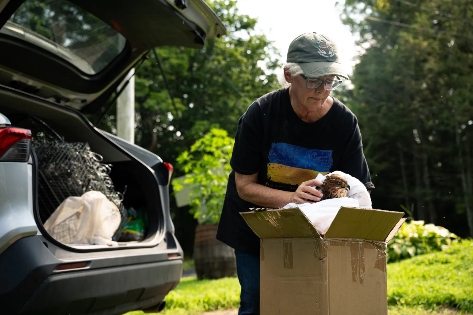 Barbara Miller with Cooper's hawk