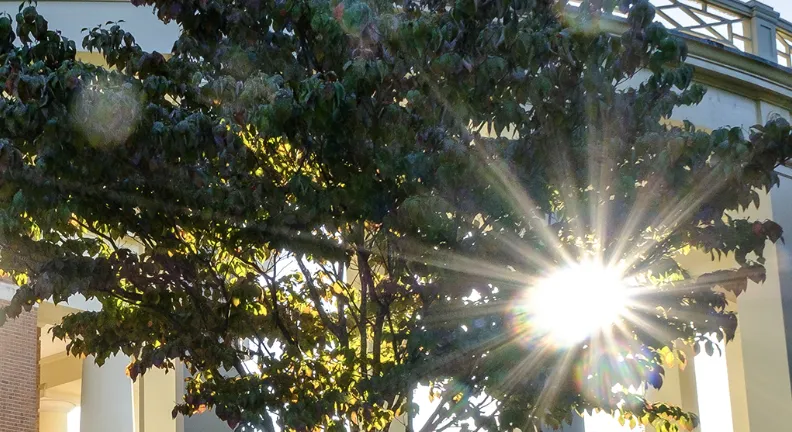 Image from Wake Forest’s Educating Character Initiative’s announcement of 2025 grant recipients.