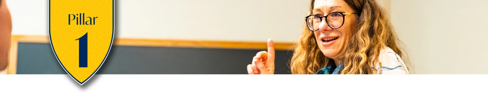 Next Chapter Pillar 1 Divider