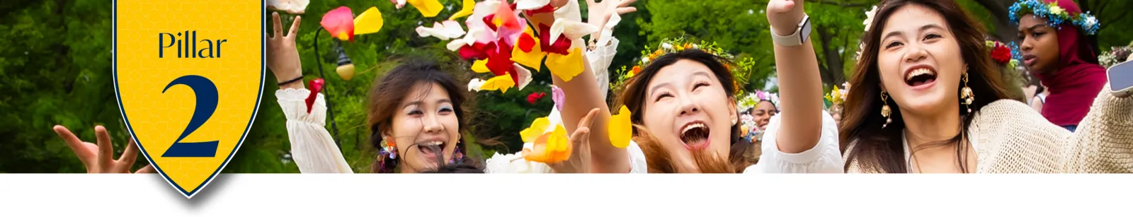 Next Chapter Pillar 2 Divider