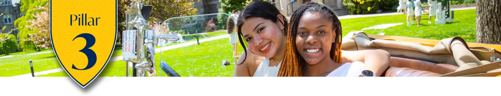 Next Chapter Pillar 3 Divider