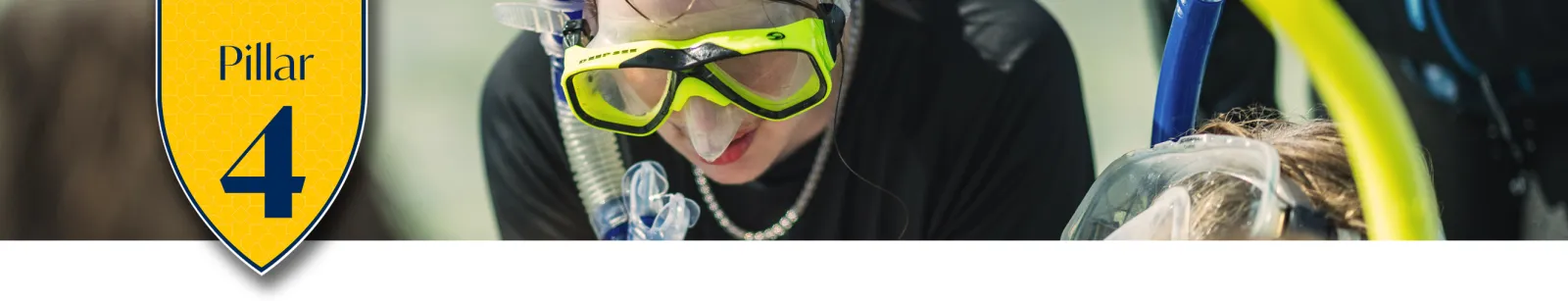 Next Chapter Pillar 4 Divider