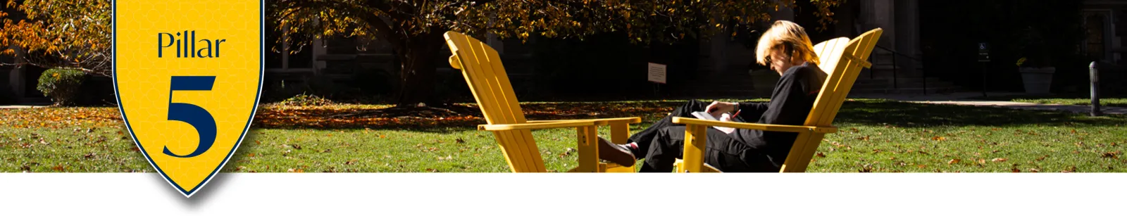 Next Chapter Pillar 5 Divider