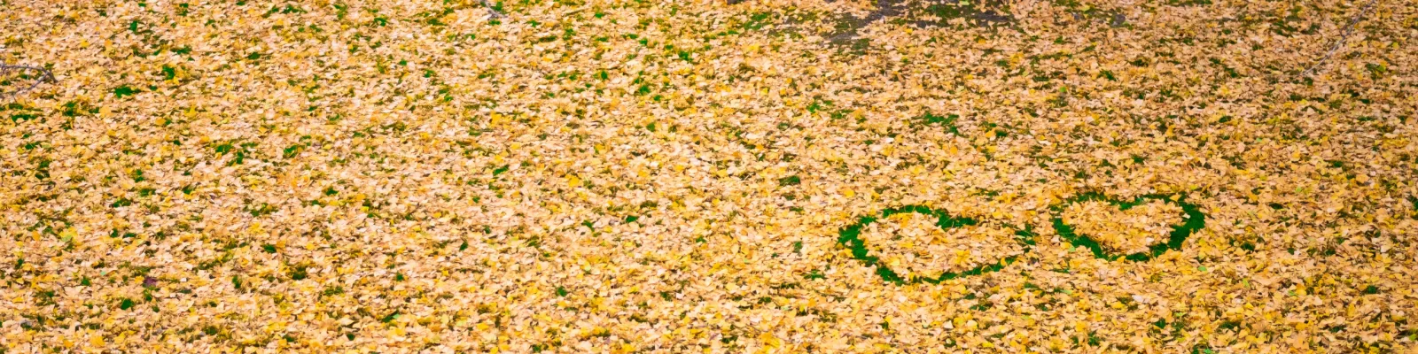  banner 7