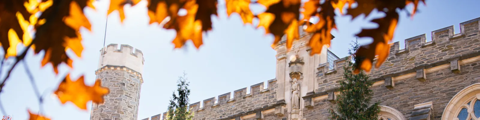 banner 7 campus beauty