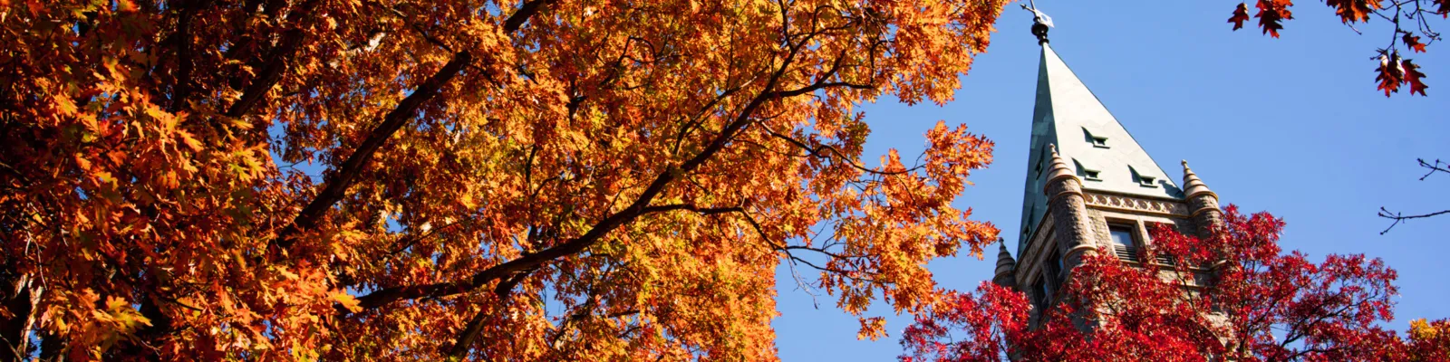 BMC in the fall Banner
