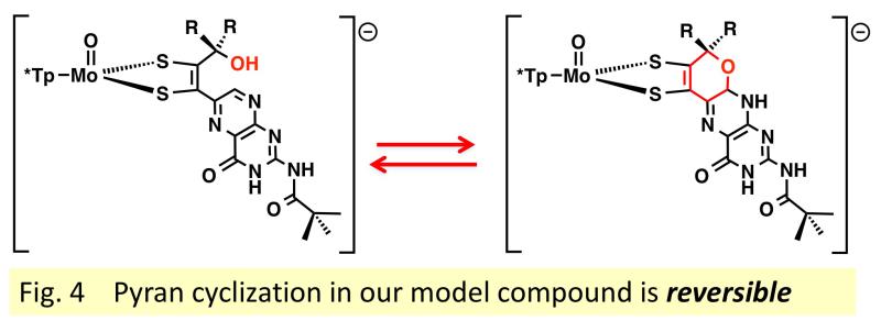 diagram depicting reversible pyran cyclization