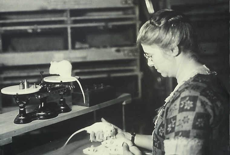 Scientist Helen Dean King with her Wistar Rats