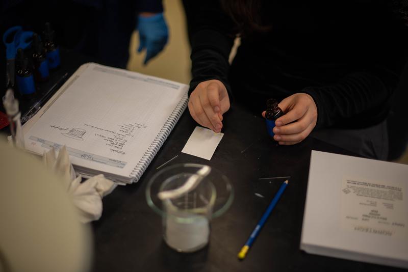 Spotting the known and unknown dyes onto the TLC plates