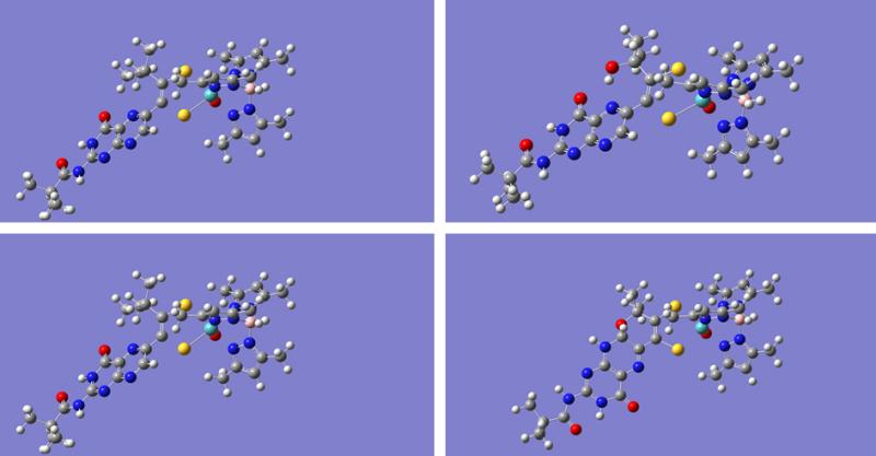 Molybdenum Cofactor models