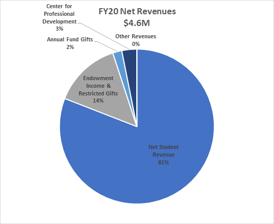 GSSWSR net revenues pie chart