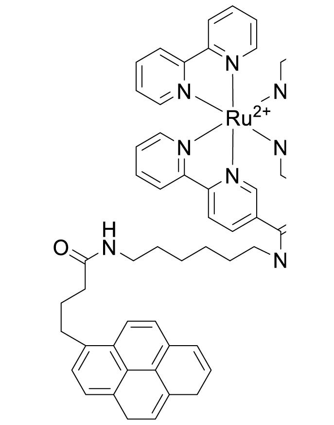 Structure of the novel complex, [Ru(bpy)2bpy-py]2+