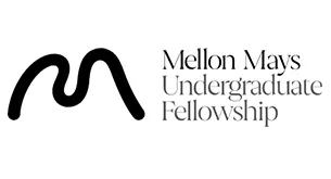 Physics Mellon Mays Logo